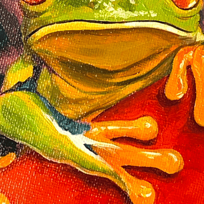 Close-up of a colorful frog on a red background